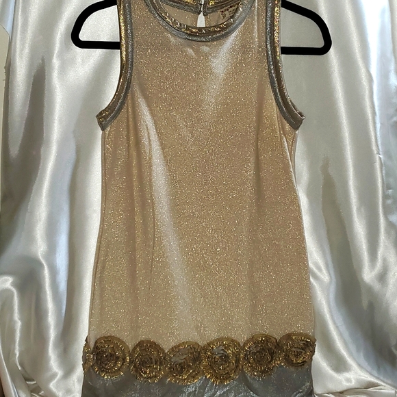 Sparkly Gold & Silver Tribute Dress - Picture 1 of 7